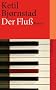 Der Flu�: Roman (suhrkamp taschenbuch)