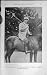 1921 Antique Portrait Devereux Milburn Polo Horse Sport