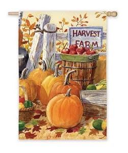 Evergreen Silk Reflections Garden Size Flag - Harvest Farm
