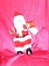 Animated Singing Santa(Push Button) 14