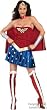Adult Wonder Woman Hero Costume (Size:Small 6-8)