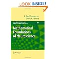 Mathematical Foundations of Neuroscience (Interdisciplinary Applied Mathematics)