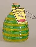 SpringStar - Glass Wasp Trap