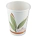 Solo 316RC-J8484 16 oz Bare PCF Paper Hot Cup (20 Packs of 50 cups)
