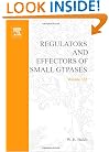 Regulators and Effectors of Small GTPases, Part F: Ras Family I, Volume 332 (Methods in Enzymology)