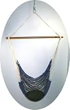 Outdoor Living : Hammock Chair, Blue