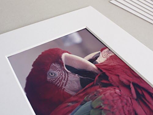 Pack of 12 Pre-Cut 8x10" White Matte board for 5x7" Pictures - Picture Mats Matting with White Core Bevel - Acid Free - High Quality Finish - Cutting for Framing Photos and Easy Mounting