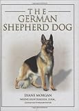 The German shepherd dog