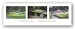 Augusta Challenge by Jim Harrington 36"x11.75" Art Print Poster