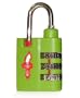 (Green) pb TSA locks