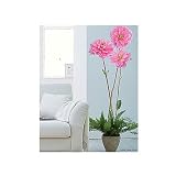 Plage  Dahlia
