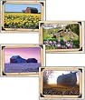 Scripture Greeting Cards-KJV-Boxed-Birthday - "Bountiful Blessings"