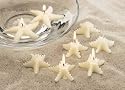 Starfish Candles