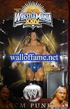 WWE Road to Wrestlemania XXIV - CM Punk