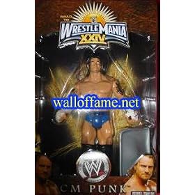 WWE Road to Wrestlemania XXIV - CM Punk