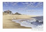Hampton Beach by Daniel Pollera - Fine Art Print / Poster - 34.00 x 24.00