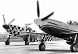 Aviation Races 1966 Archival Photo Poster - 13x19