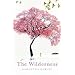 The Wilderness