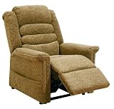 Autumn Catnapper Soother Power Lift Full Lay-out Oversized Chaise Recliner Chair
