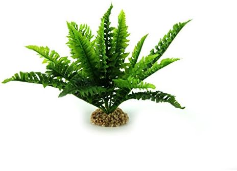 Classic Sea Scapes Ruffled Fern