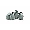 King Penguin Chicks