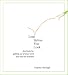 Books : Leap Before You Look: Shortcuts for Getting Out of Your Mind and into the Moment