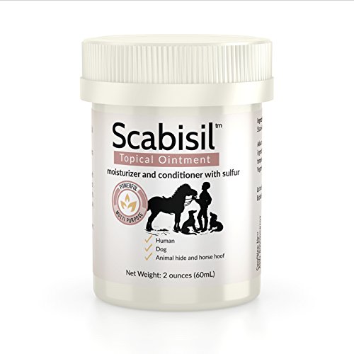 Scabisil Topical 10 Sulfur Ointment Relief From Mite, Insect Bite
