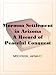 Mormon Settlement in Arizona A Record of Peaceful Conquest of the Desert