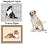 labrador47  - Yellow Labrador Retriever Mouse Pad