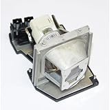 Proj Lamp for Dell 2400MP