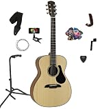 Alvarez AF30 Acoustic Folk Guitar, with Legacy 30 Piece Guitar Accessory Kit - Blem
