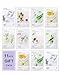 [New Upgraded] Innisfree Mask It