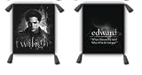 Twilight Pillow/Decorative Throw 