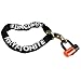 Kryptonite New York Noose with Evolution Series 4 Disc Lock - 2ft. -6in. Chain 999539