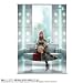 FINAL FANTASY XIII �������륹��������ݥ����� �饤�ȥ˥�