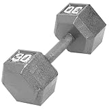 41vN%2B8ZmwTL. SL160  Cap Barbell Regular Pair 14Inch Dumbbell Handle