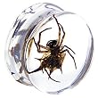 20mm Organic Spider Resin Saddle Plug