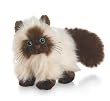 Webkinz Himalayan