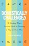 Domestically Challenged: A Working Mom's Survival Guide to Becoming a Stay-at-Home Mom (2nd Edition)