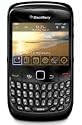 Blackberry Gemini 8520 Unlocked Cell Phone with 2 MP camera, Bluetooth, Wi-Fi International Version with No Warranty (Black)
