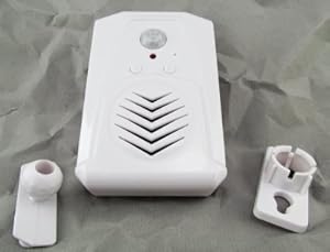 Motion-activated Sound Player