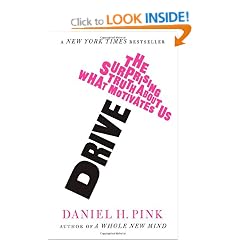 Drive: The Surprising Truth About What Motivates Us