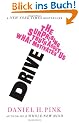 Drive: The Surprising Truth About What Motivates Us