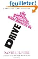 Drive: The Surprising Truth About What Motivates Us