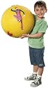 Lazy Town Playground Ball