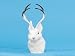 Jackalope Bunny Rabbit Lifelike Decoration Model Collectible Figurine