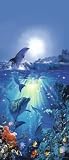 1art1 40503 Delfine - Delfin An Der Sonne Fototapete Poster-Tapete (200 x 86 cm)