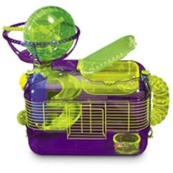 Super Pet CritterTrail X Activity Housing Critter Cage (21 1/4 Inch L x 12 3/4 Inch W x 18 Inch H)