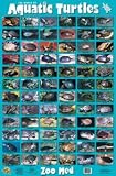 Zoo Med World of Aquatic Turtles Poster