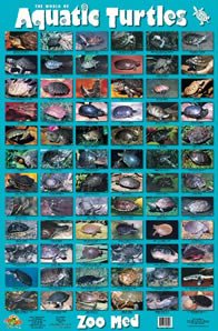 Zoo Med World of Aquatic Turtles Poster